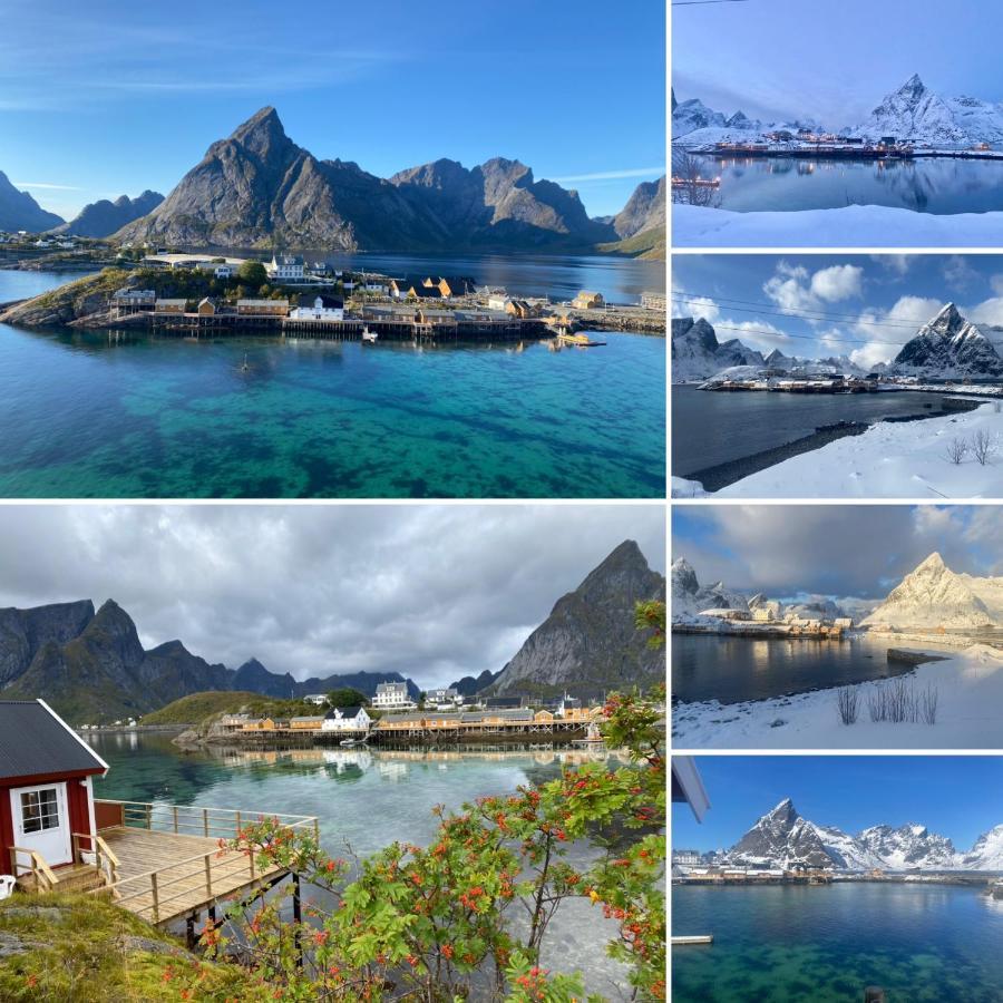 Lofoten Suite Apartments - Rostad Retro Rorbuer Reine Extérieur photo